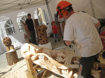 Ausstellung Wald 2014